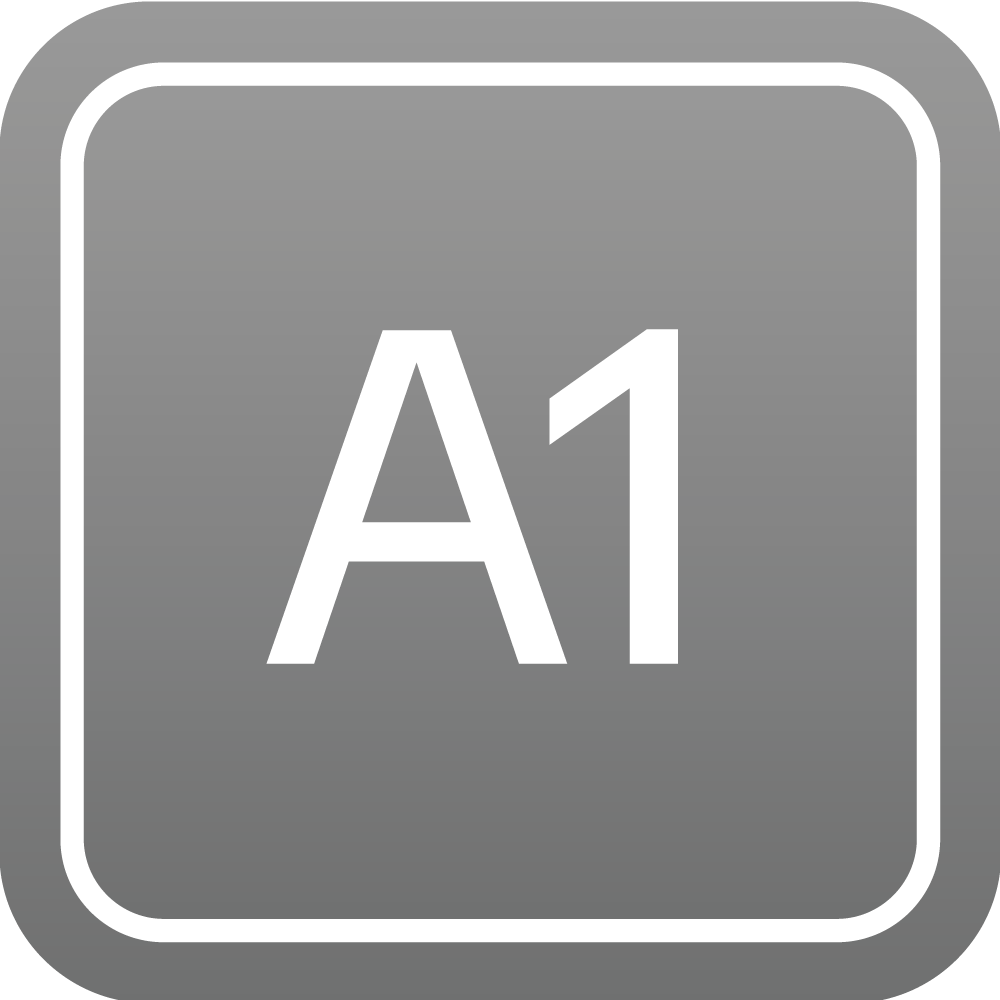 A1